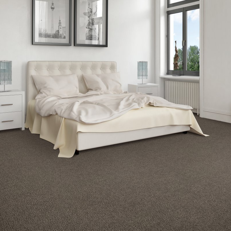 Flor Haus providing stain-resistant pet proof carpet in Leola, PA Exciting Selection I - Dreamy